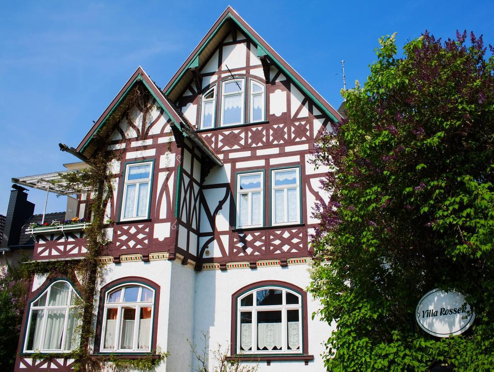 Hotel Villa Rossek Bad Liebenstein Exterior photo