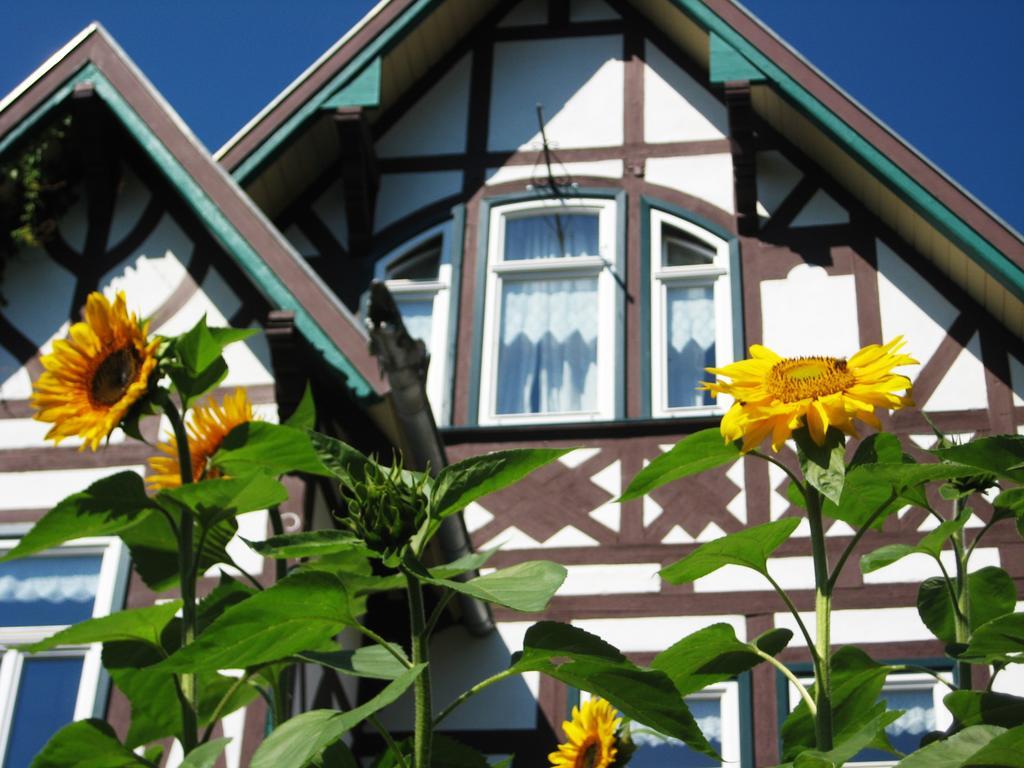 Hotel Villa Rossek Bad Liebenstein Exterior photo
